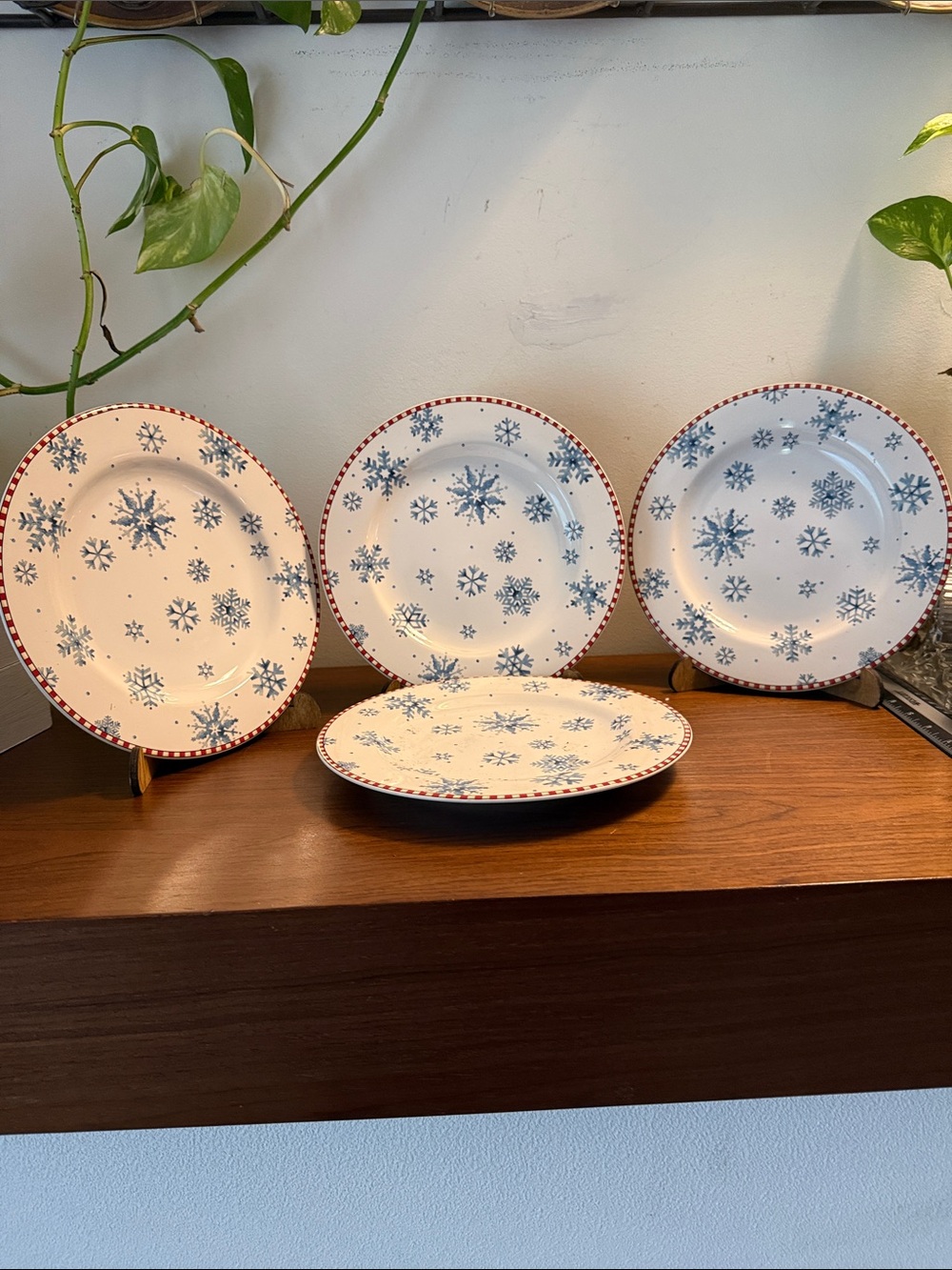 Set of 4 Stoneware Salad/Dessert Plates